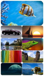 : Beautiful Mixed Wallpapers Pack 620