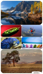 : Beautiful Mixed Wallpapers Pack 622