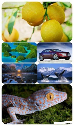 : Beautiful Mixed Wallpapers Pack 623