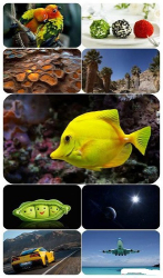 : Beautiful Mixed Wallpapers Pack 631