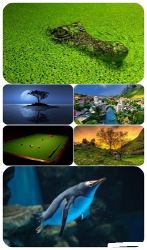 : Beautiful Mixed Wallpapers Pack 645