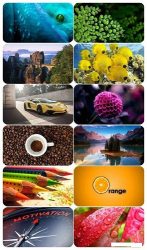 : Beautiful Mixed Wallpapers Pack 668