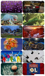 : Beautiful Mixed Wallpapers Pack 684