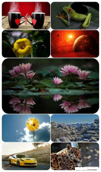: Beautiful Mixed Wallpapers Pack 688