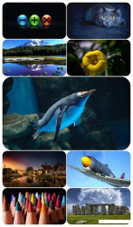 : Beautiful Mixed Wallpapers Pack 696