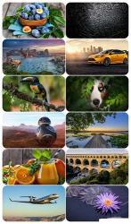 : Beautiful Mixed Wallpapers Pack 698