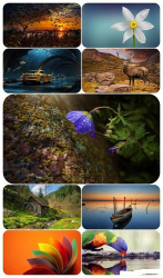 : Beautiful Mixed Wallpapers Pack 701