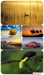 : Beautiful Mixed Wallpapers Pack 709