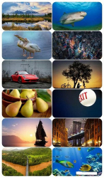 : Beautiful Mixed Wallpapers Pack 730