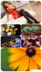 : Beautiful Mixed Wallpapers Pack 735