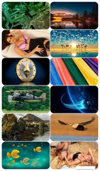 : Beautiful Mixed Wallpapers Pack 736