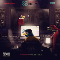 : Doe Boy & Tm88 – 88 Birdz (2018)