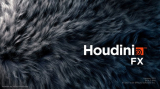 : SideFX Houdini FX v16.0.671.(x64)