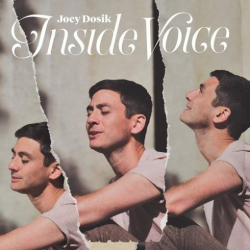 : Joey Dosik – Inside Voice (2018)