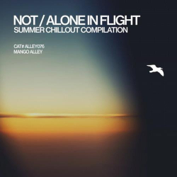 : Not / Alone In Flight (2018)