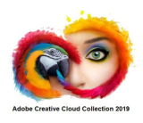 : Adobe Creative Cloud Collection Januar 2019