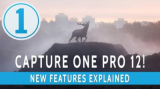 : Capture One Pro v12.0.1.57 Portable