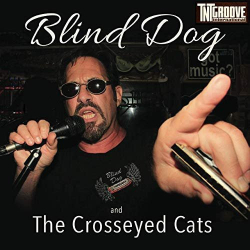 : Jeff Vincent - Blind Dog And The Croeyed Cats (2019)
