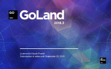 : Jetbrains Goland v2018.3.6