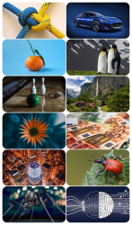 : Beautiful Mixed Wallpapers Pack 938