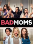 Bad Moms 2016 German 1080p AC3 microHD x264 - RAIST