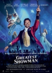 The Greatest Showman 2017 German 800p AC3 microHD x264 - RAIST