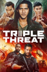 Triple Threat 2019 German 800p AC3 microHD x264 - RAIST