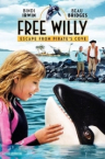 Free Willy - Rettung aus der Piratenbucht 2010 German 1080p AC3 microHD x264 - RAIST