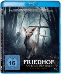 Friedhof am Ende der Welt 2019 German 800p AC3 microHD x264 - RAIST