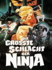 Die größte Schlacht der Ninja 1983 German 800p AC3 microHD x264 - RAIST