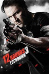 12 Runden 3 - Lockdown 2015 German 1080p AC3 microHD x264 - RAIST